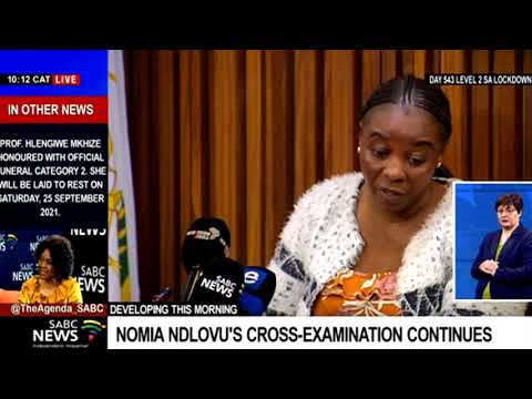 Nomia Ndlovu | Cross-examination of the multiple murder-accused former police officer continues