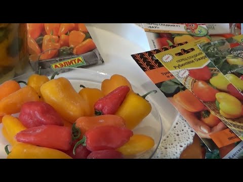 Сладкие мини перчики Обзор сортов