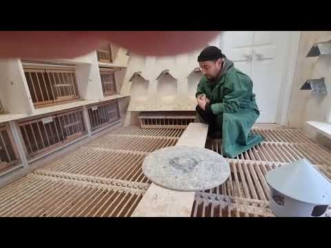 13 ноября 2021 г.