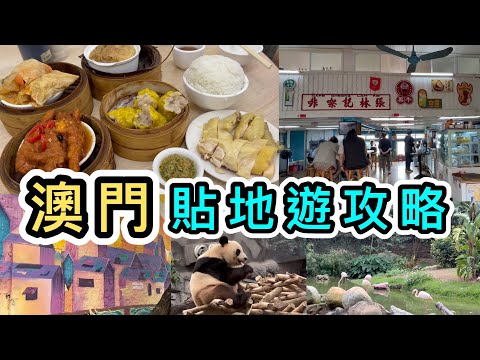 【澳門自由行】小店飲茶$18點心➕路環半日觀光👊行程輕鬆又唔逼👊四廟👀大熊貓🐼澳門一日遊2024|澳門景點|澳門美食|澳門打卡|新濠影匯|自由行|港珠澳大橋|金巴|Macau