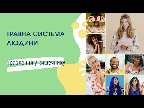 Травна система людини. Травлення у кишечнику.