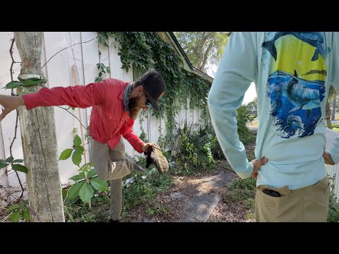 This Overgrown Yard Was Bad…But Was the Neighbor a Jerk or Just Fed Up?