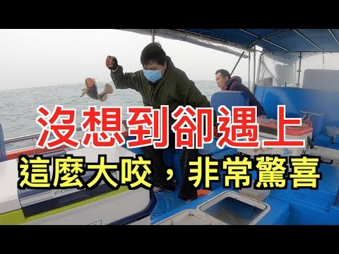 沒想到卻遇這麼大咬,非常驚喜