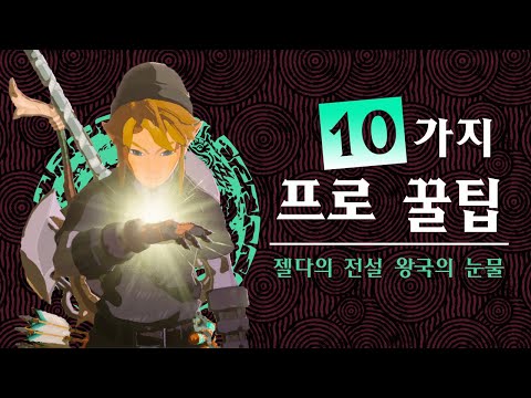 젤다의 전설 티어스 오브 더 킹덤 프로 꿀팁 10가지