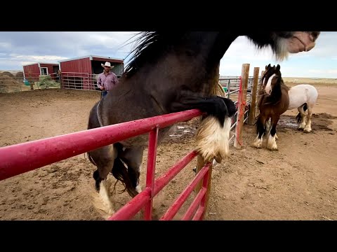 Wow! He is a Handful!