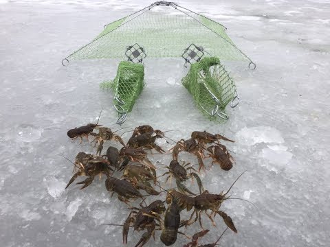 КАК НАЛОВИТЬ РАКОВ ЗИМОЙ НА РАКОЛОВКИ. ИЩЕМ РАКОВ ЗИМОЙ СО ЛЬДА. ЛОВЛЯ РАКОВ РАКОЛОВКОЙ