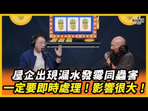 House leaks, mold and insect pests must be dealt with immediately! The impact is great! Guest: Ma...