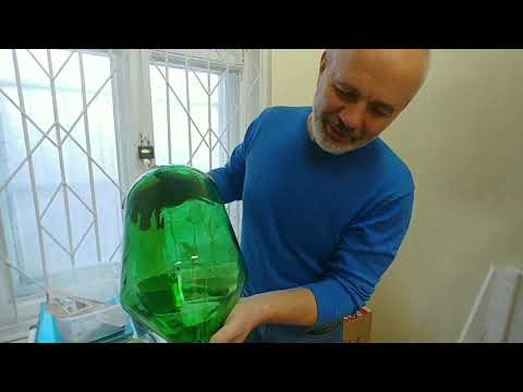 Новогодние настоечки: копченая груша, вяленая вишня и перцовка!!!