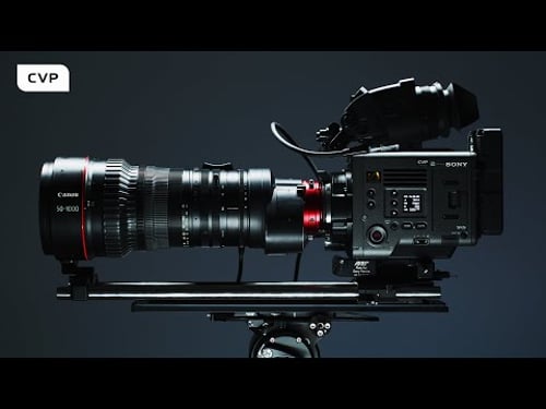 The MOST USED Wildlife Filmmaking Ultra-Telephoto Lens!! | Canon CN20x50 50-1000mm