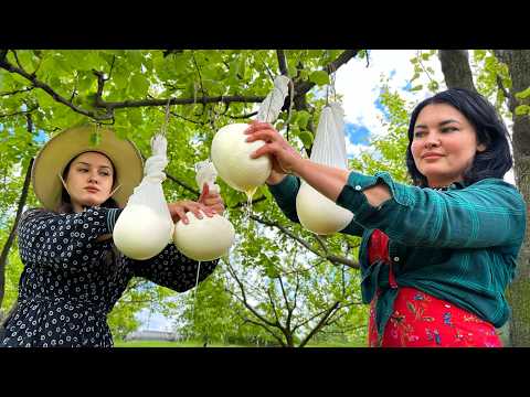 Turning Fresh Cowโs Milk Into Cheese! Old Way Still Works