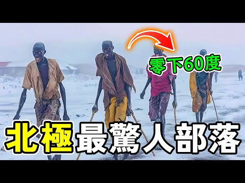 北極最驚人的十個部落,零下60度的極地生活了數千年,她們的生活方式震碎你的三觀!#世界之最 #奇文 #科普 #世界之大
