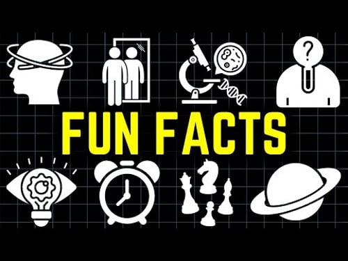 3 Hours of Random Fun Facts To Fall Asleep to