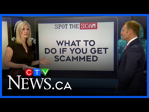 Spot the Scam Week: What to do if you get scammed
