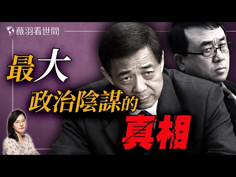 紅色風暴崩潰!薄熙來如何一步步走向失敗?王立軍到底說出了什麼驚天秘密?|薇羽看世間 第829期 20240220