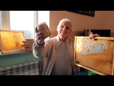 Пчелиный ЗАБРУС как сильное лекарственное средство