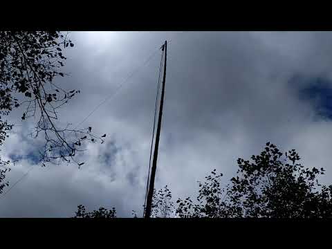 Поиск антишумовой приёмной антенны на диапазон 80 м.