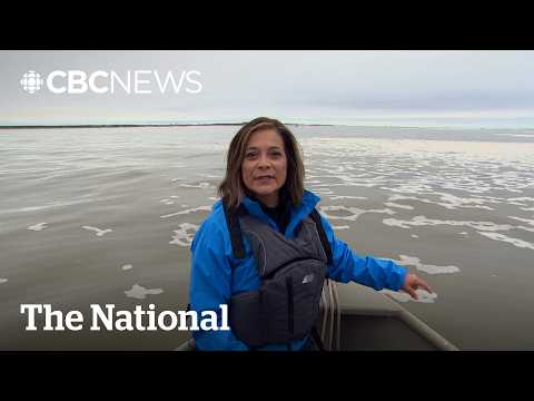 How an expanded port could transform the polar bear capital of the world