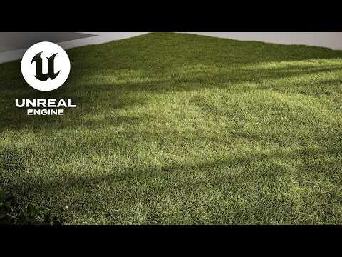Beautiful Lawn GRASS in Unreal Engine from Scratch! PCG