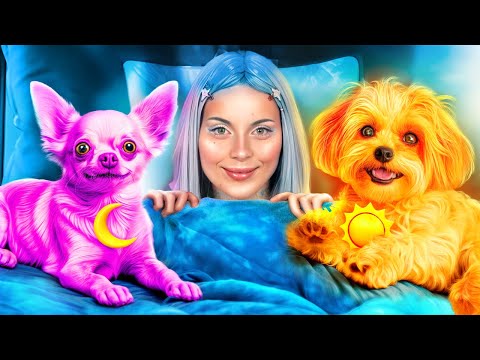 We Build a Tiny House! Pomni vs CatNap! Poppy Playtime 3!