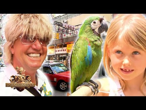 Kulturschock in Hongkong 😵🤩 Insekten essen 🤢 & "Ladies' Market" | Die Geissens