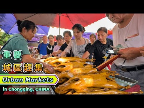 中國重慶城區趕集,大人小孩一起逛市集太熱鬧,15元一斤鹵鵝香濃入味便宜排隊搶,炸雞肉伴洋蔥辣椒濃郁香辣胃口大開,老面小籠包皮薄餡足美味多汁,爆炒麻辣菜餚以辣解暑,現制辣醬原料天然豐富好吃又健康!