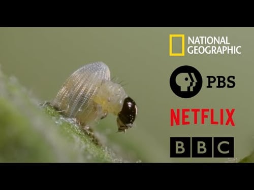 Cinematography Showreel