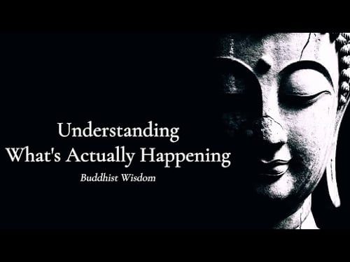 Understanding What's Actually Happening β Buddhist Wisdom