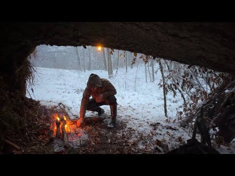 Survival Challenge in a Snowstorm and Blizzard at -21°CBuilding a Shelter Under a Tree