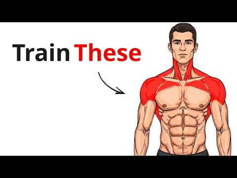 The 5 Muscles That Give You 80% of Your Size (Train These First)