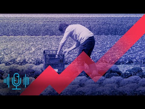 Mindestlohn – verkraftet die Wirtschaft 15 Euro? | Podcast | Plusminus bei SWR Doku