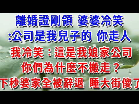 離婚證剛領 婆婆冷笑:公司是我兒子的 你走人我冷笑:這是我娘家公司你們為什麼不搬走?下秒婆家全被辭退 睡大街傻了!#一帆說故事 #為人處世 #生活經驗 #情感 #故事 #彩礼