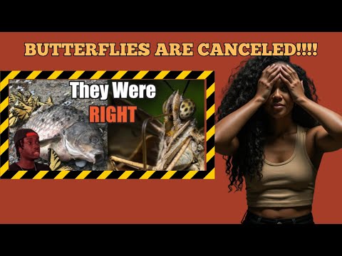 Butterfly Fear Isn't Irrational, Here's Why | CASUAL GEOGRAPHICS | BRITTREACTS
