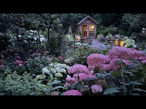 HYDRANGEA GARDEN TOUR & MASSIVE GIVEAWAY! Connecting a Hoselink Hose Reel to a Rain Barrel