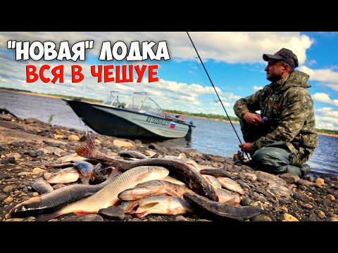 НОЧУЮ ОДИН В "НОВОЙ" ЛОДКЕ \ КУЧА РЫБЫ С ОДНОГО КАМЕННИКА \ ПОБЫВАЛ НА ПРОИЗВОДСТВЕ КРУТОЙ ТЕХНИКИ
