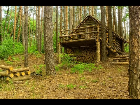 Built a house in the forest