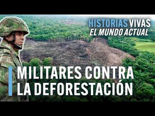 Militares de Colombia Combaten la Deforestación de la Amazonía | Historias Vivas | Documental HD