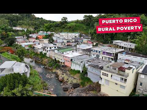 Inside Puerto Rico’s Jungle Communities - Where People Live On $27 A Day
