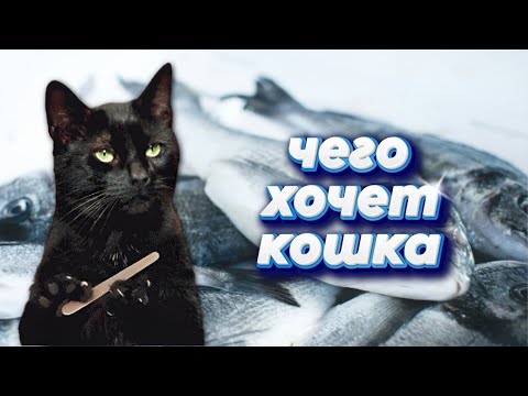 Посмотрите это видео, прежде чем заводить кошку 😺