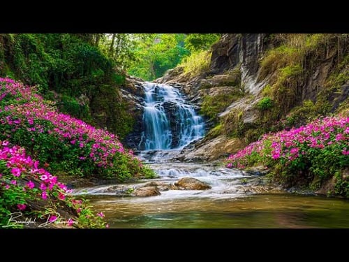 Healing Music in the Forest to Keep You Awake 🎵 Music to Heal the Heart and Blood Vessels