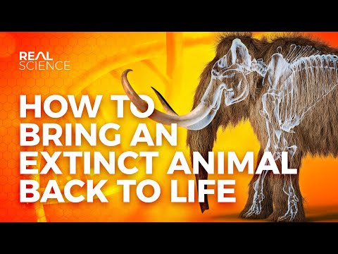 How to Bring an Extinct Animal Back to Life