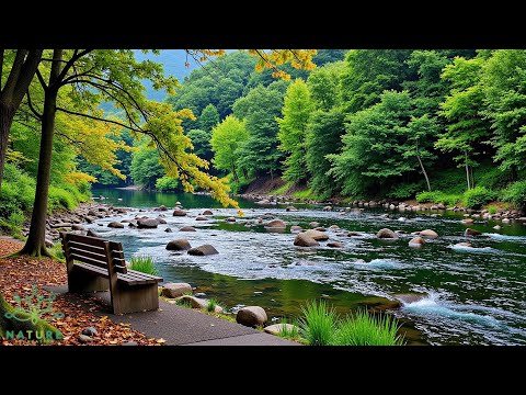 Beautiful Relaxing Music🌿 Stop Overthinking, Stress Relief Music, Sleep Music