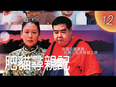 CHI&ENGSUB【FULL】肥貓尋親記 Innocent Heart Part 1 EP12|#KentCheng #ShiqinGaowa|Family Drama