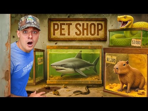 I Found an Abandoned Pet Store