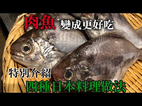 【用台灣的肉魚做】這個做法的話普通的魚變成超級好吃 知道沒有壞處 特別介紹不同口味四種日本料理調理方法