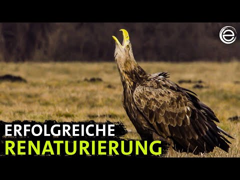 The Havel | Experience Earth