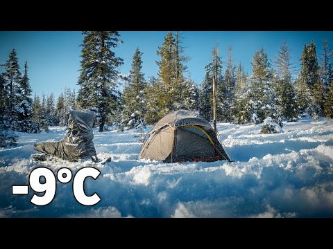 Extreme Winter Camping: My STAND-UP Snowmobile Adventure