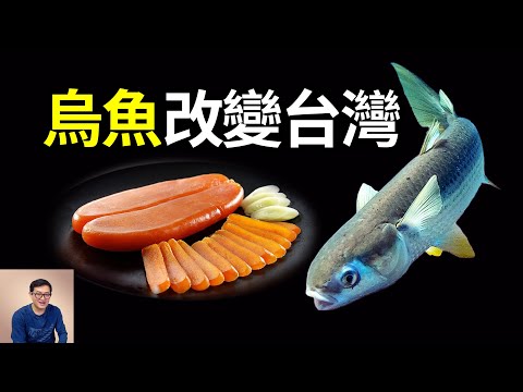 為什麼說烏魚改變了台灣歷史?被稱為「烏金」的烏魚子到底有多獨特?我吃過之後的真實評價竟然是……【老肉雜談】#知識 #動物 #美食 #海洋生物 #烏魚