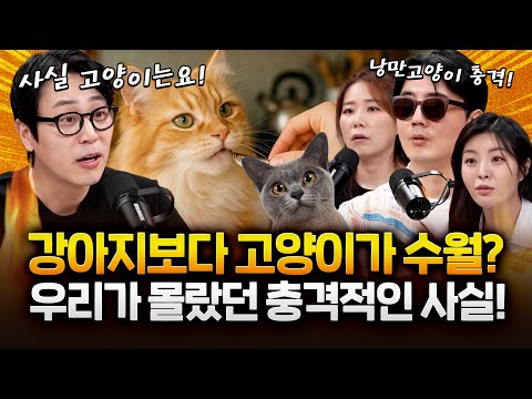 고양이는 산책이 필요하지 않습니다! '산책'하려면 강아지를 키우세요!