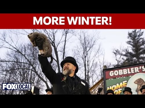 Groundhog Day 2026: Punxsutawney Phil sees shadow