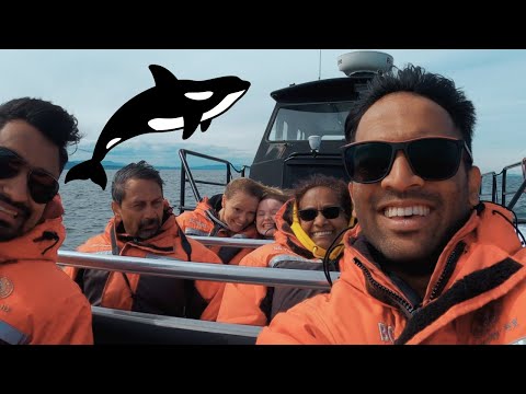 Whale Watching In Victoria, BC